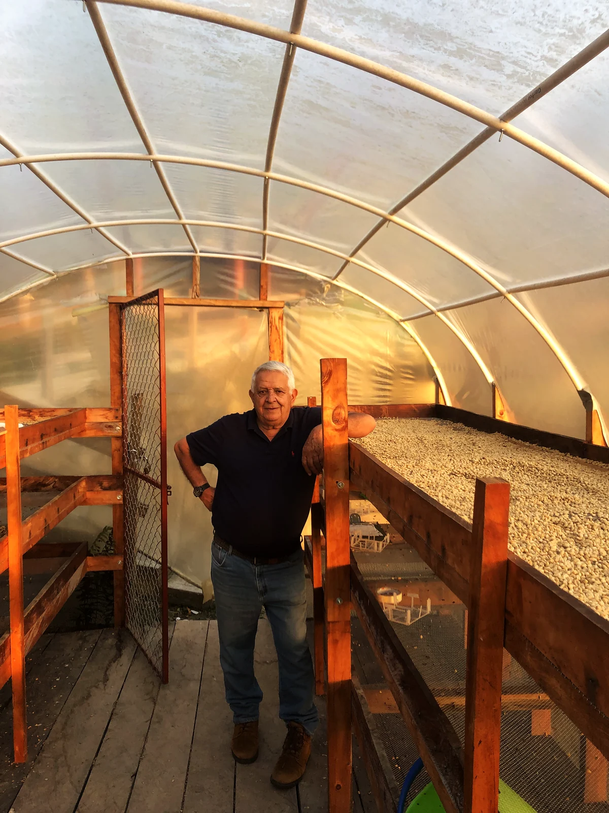 Mario González Salcedo standing beside a drying bed of parchment coffee inside the drying tunnel at Finca La Montaña