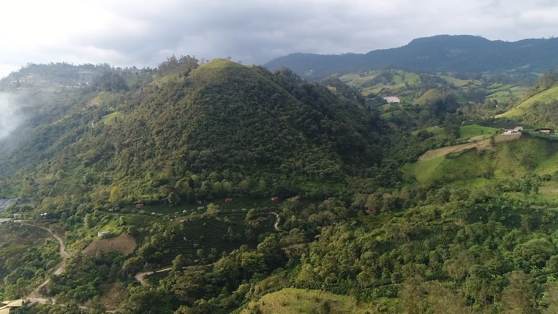 Aerial view of coffee lots on an Andean hillside in Colombia